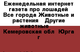 Еженедельная интернет - газета про лошадей - Все города Животные и растения » Другие животные   . Кемеровская обл.,Юрга г.